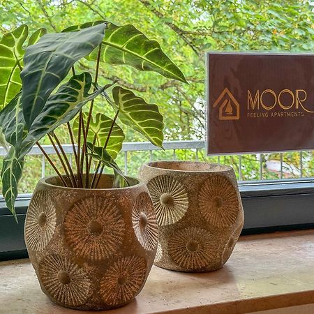 Moor Feeling Apartments Worpswede Exterior foto